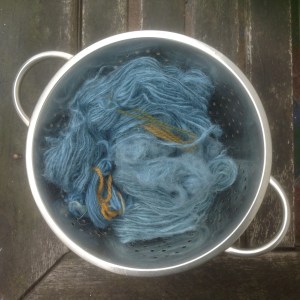 Indigo Dying Day